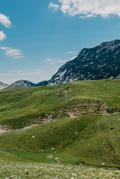 Mountain valley during sunrise. Natural summer landscape. Mountain peak green nature scenery. trail on green hill landscape