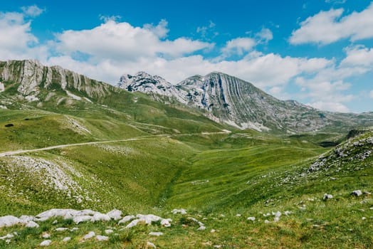 Mountain valley during sunrise. Natural summer landscape. Mountain peak green nature scenery. trail on green hill landscape