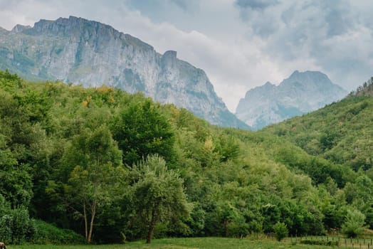 Mountain landscape with grazing sheeps.