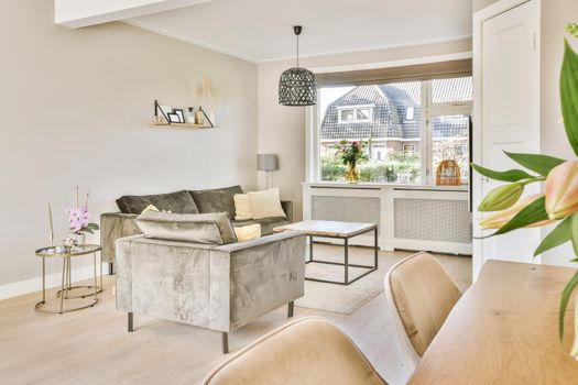 Elite living room with velvet gray sofa