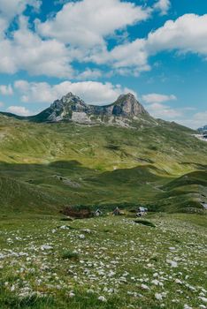 The mountain pass Sedlo is in the north of Montenegro. Fantastic green view of Saddle mountain, Durmitor massive, Montenegroю