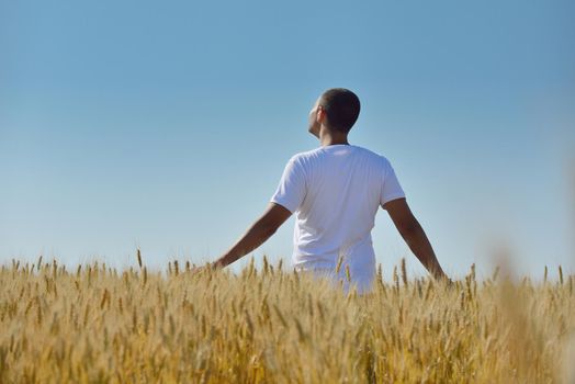 young man in wheat field representing success agriculture and freedom concept