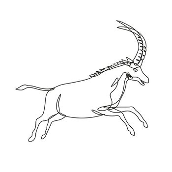 Continuous line drawing illustration of a black sable antelope or Hippotragus niger jumping viewed from side done in mono line or doodle style in black and white on isolated background. 
