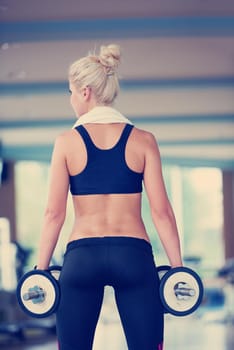 Gorgeou woman girl lifting some weights and working on her biceps in a gym