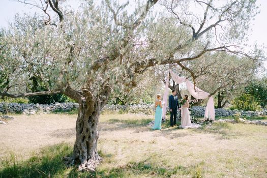 Newlyweds stand under a tree in front of the ceremonial master in the park. High quality photo