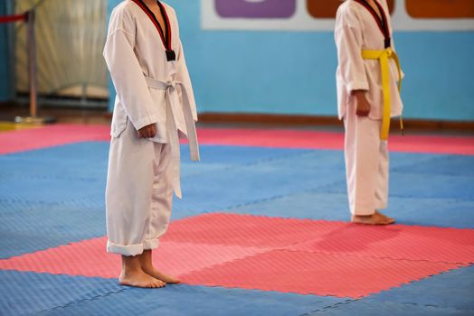 Taekwondo kids. Two boys athletes stands in a taekwondo uniform with a white and yellow belts during a taekwondo tournament.