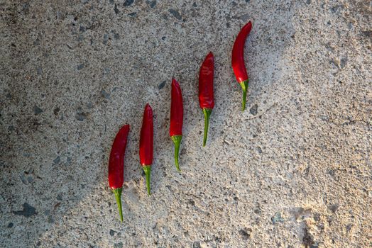 Many small hot red chili peppers close-up, lying on a stone background between shadow and sunlight. Rustic background. Top view, flat lay.