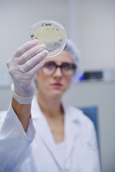 group of scientists working at the laboratory