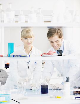 science and research biology chemistry an dmedicine  youn people couple in bright modern  lab