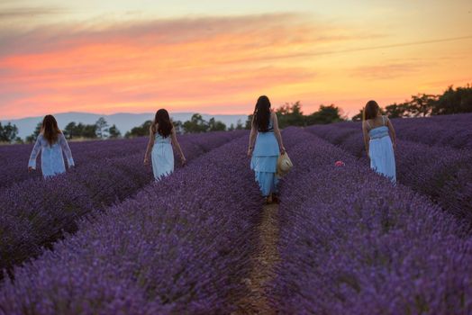 group of famales have fun in lavender flower field on beautyful sunset