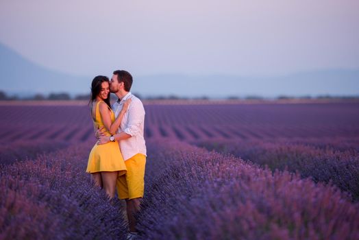 young loving couple having romantic time hugging and kissing on purple lavender flower field in sunset