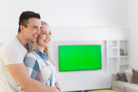 Portrait of a happy young beautiful couple hugging in their new home