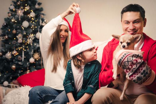 Portrait of happy family with kid son and puppy. Mother in Santa hat, father, child boy and dog in sweater having fun on Christmas holidays at home. Merry Christmas and happy new year.