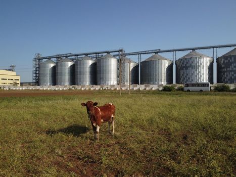 Grain elevator. Metal grain elevator in agricultural zone. Agriculture storage for harvest. Grain elevators on green nature background. Exterior of agricultural factory