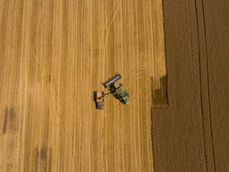 Harvester machine working in field. Aerial view. Top view.