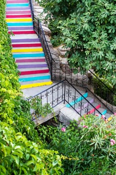 The beautiful stairs are painted in the rainbow, among plants. Positive road of life