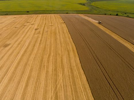 Harvester machine working in harvests wheat field. Aerial view.