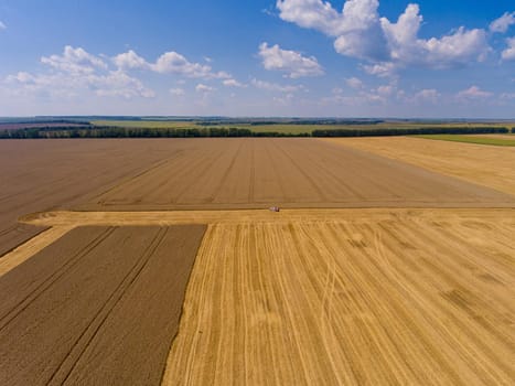 Aerial view of yellow wheat field in summer.