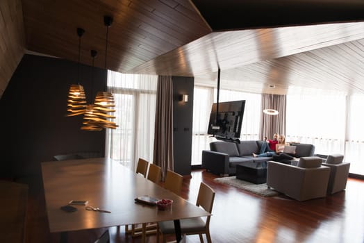 Young couple relaxes on the sofa in the luxury living room, using a laptop and remote control