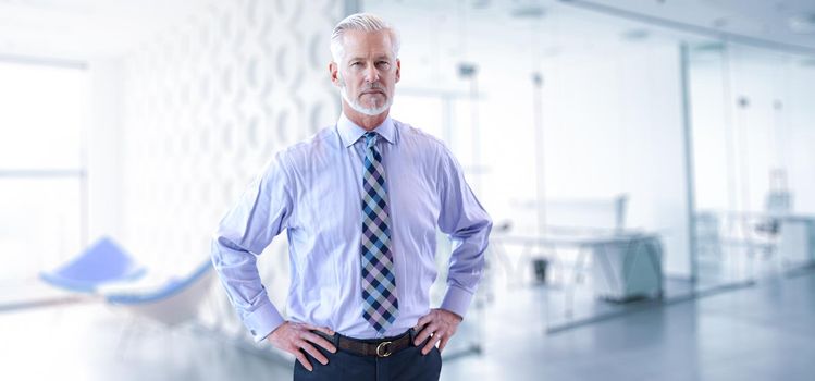 Portrait of senior businessman in front of his modern office