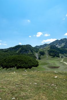 Mountain landscape. Alps with green grass and bright blue sky. Idyllic panorama. Tourism concept. Hiking. Vacation in Europe. Relax in the open air and the spirit of adventure. Ecology of nature.