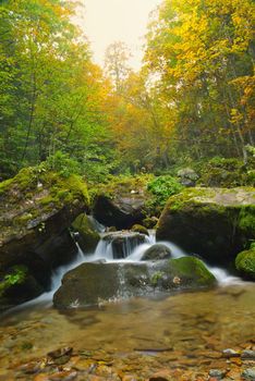 mountain forest landscapecreek with fresh water