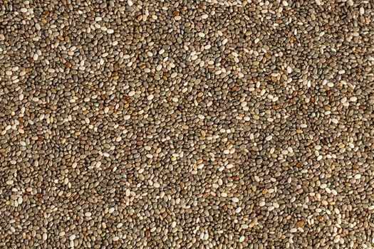 Detail high resolution closeup photo of chia seeds (Salvia hispanica) heap shot from above.