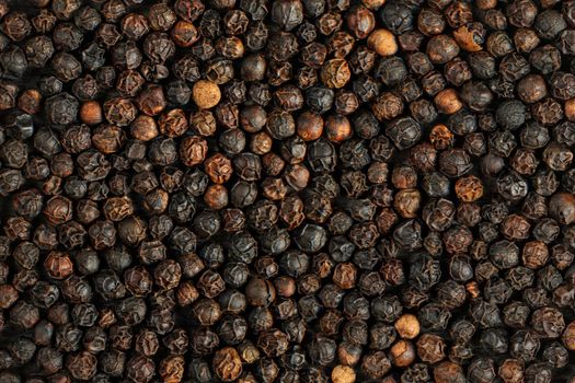 Detail macro of heap of dried black pepper (Piper nigrum) peppercorns.