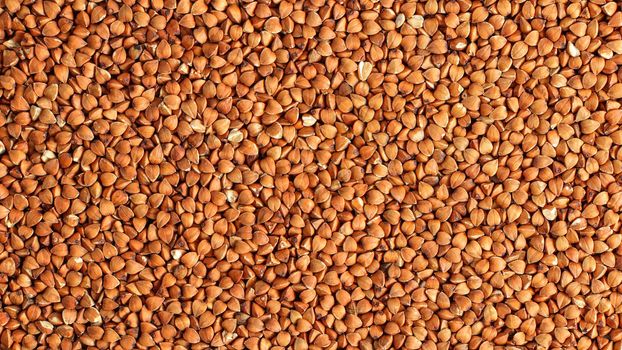 Detail photo of buckwheat (Fagopyrum esculentum) grain seeds heap, shot from above.