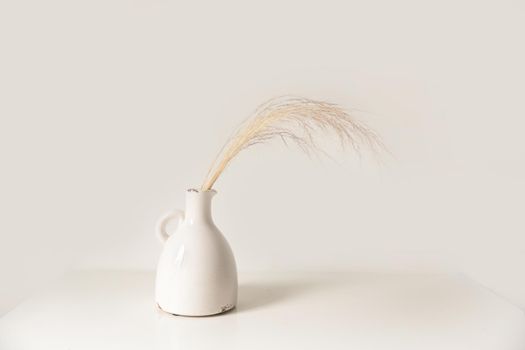 White vase with dried flowers on a white background