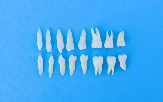 Prosthetic dentistry  White teeth on blue background Oral dental hygiene  Dental health concept  Oral care  teeth restoration top view