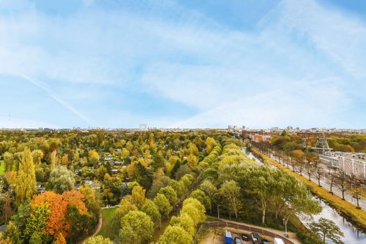 Delightful and mesmerizing landscape with numerous trees