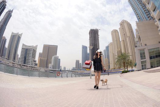 beautiful woman goes in shopping in the city