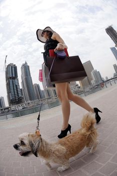 beautiful woman goes in shopping in the city