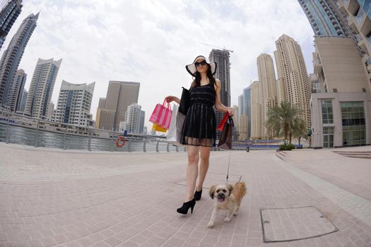 beautiful woman goes in shopping in the city