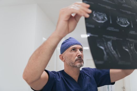 Orthopedist doctor examining X-ray picture at in hospital or clinic. High quality photo. Selective focus