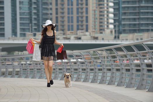 beautiful woman goes in shopping in the city