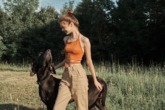 woman in the field in summer playing with a dog friendship. High quality photo