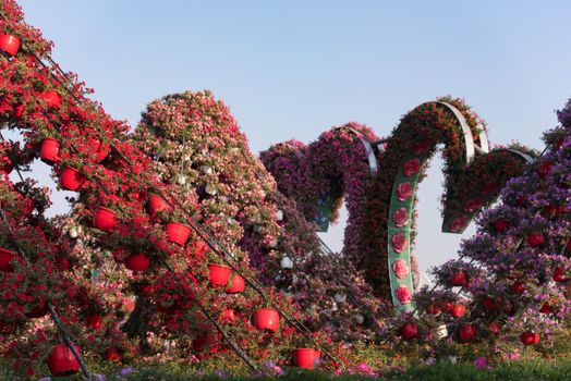 30 January 2017 Dubai miracle garden with over 45 million flowers in a sunny day