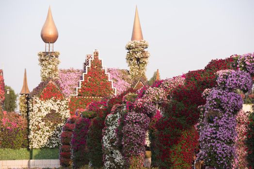 30 January 2017 Dubai miracle garden with over 45 million flowers in a sunny day