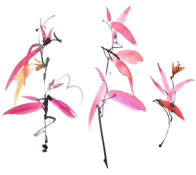 Watercolor and ink illustration - blossom plant with leaves, pink flowers and buds. Sumi-e art.