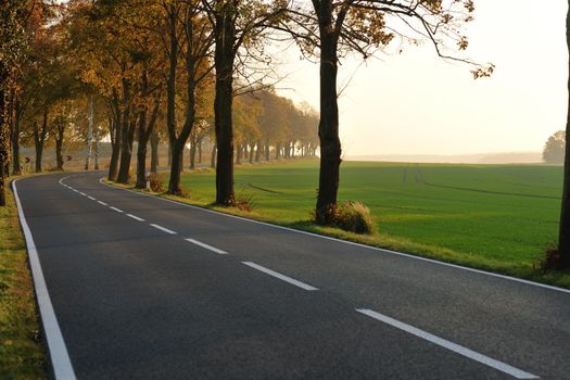 country road at autumn season with bright orange colors at morning sunrise