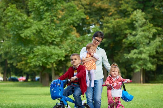 portrait of happy young family,  mother and  kids have fun in park