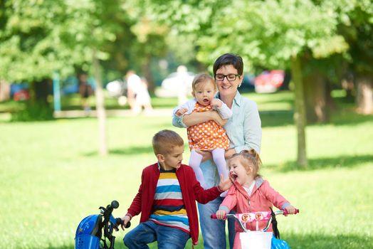 portrait of happy young family,  mother and  kids have fun in park