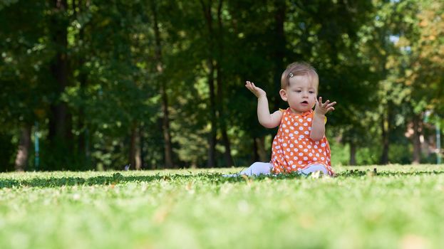 happy young baby child sittng on grass on beautiful summer day in park