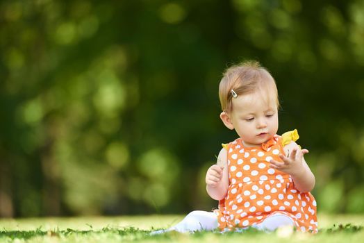 happy young baby child sittng on grass on beautiful summer day in park