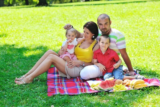 happy young couple with their children have fun at beautiful park outdoor in nature