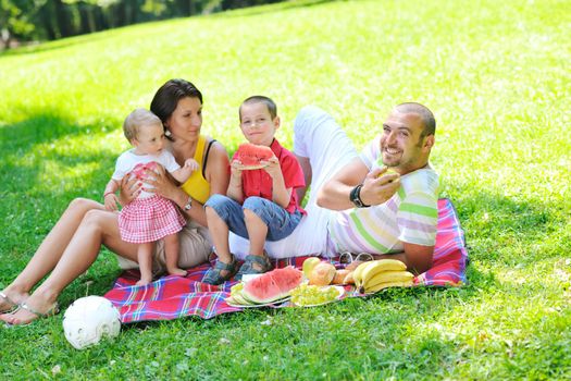 happy young couple with their children have fun at beautiful park outdoor in nature