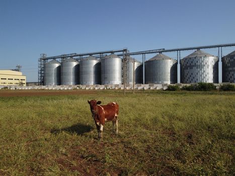 Grain elevator. Metal grain elevator in agricultural zone. Agriculture storage for harvest. Grain elevators on green nature background. Exterior of agricultural factory