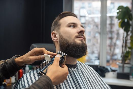 Man visiting hairstylist in barbershop. Barber works with a beard clipper. Hipster client getting haircut.